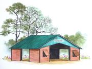 Wanchese Events, Secotan Market