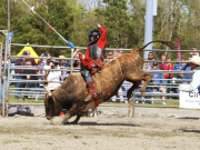 The Northern Outer Banks, Currituck Bulls and BBQ