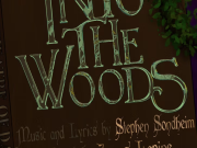 Theatre of Dare, Into The Woods