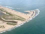 Cape Hatteras Anglers Club, Bob Bernard Open Tournament