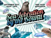 North Carolina Aquarium on Roanoke Island, Sea-lebration by the Sound