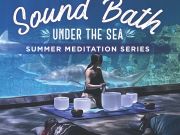 North Carolina Aquarium on Roanoke Island, Sound Bath Under the Sea