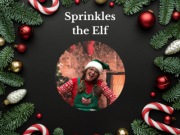 Duck Town Park, Sprinkles The Elf