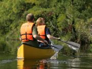 Coastal North Carolina National Wildlife Refuges, Alligator River Canoe Tour