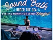 North Carolina Aquarium on Roanoke Island, Sound Bath Under the Sea