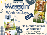 Town of Nags Head, Waggin' Wednesdays