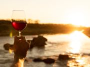 TRiO Restaurant & Market, Wine Tasting: The Odessey Tasting