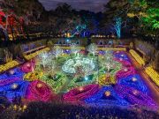 Elizabethan Gardens, WinterLights