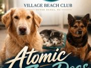 Village Beach Club, Oceanfront Live Music ft. Atomic Zen Dogs