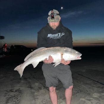 Tradewinds Tackle Shop, Gorgeous Red Drum