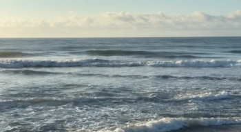 Natural Art Surf Shop, Wednesday, May 20th