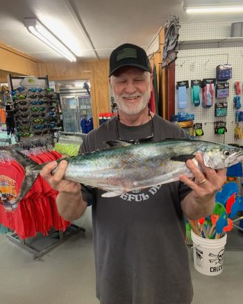 Tradewinds Tackle Shop, Spanish Mackerel