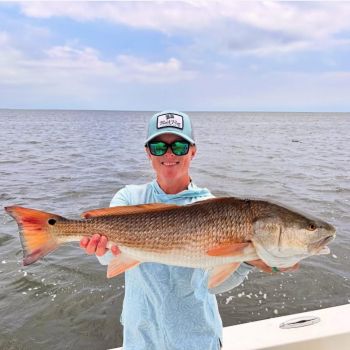 TW’s Bait & Tackle, Sea Mullet, Bluefish, Drum, and Sharks