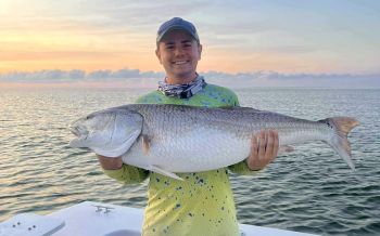 Tradewinds Tackle Shop, Red Drum