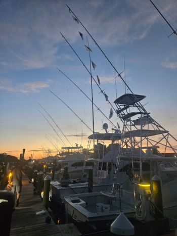 Pirate's Cove Marina, 2026 Dockage Reservations