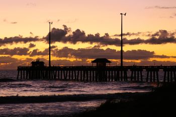 Jennette's Pier, Grab Your Bait