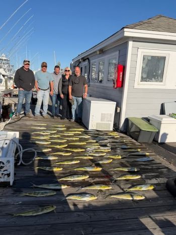Pirate's Cove Marina, Tuesday’s Catch