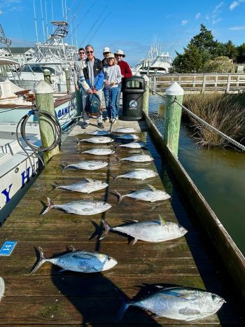 Pirate's Cove Marina, Blackfin & Mahi