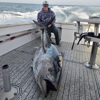 TW’s Bait & Tackle, Bluefin Tuna this Morning