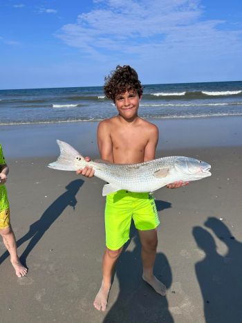 OBX Bait & Tackle Corolla Outer Banks, Corolla Fish Report