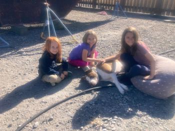 Wild Card Sportfishing Charters, In the Boatyard