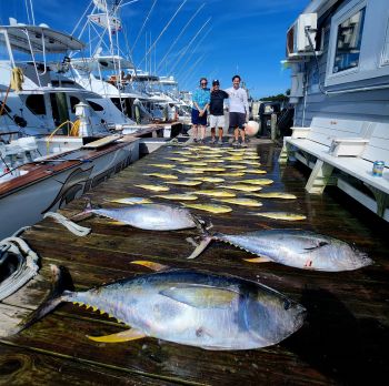 Pirate's Cove Marina, Looking Forward to Warmer Days