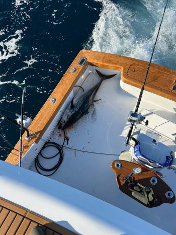 Pirate's Cove Marina, A Perfect 70”er