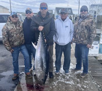 Bite Me Sportfishing Charters, Good Bluefin Fishing