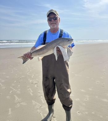 Tradewinds Tackle Shop, Red Drum at Ramp 72
