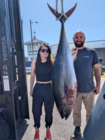 TW’s Bait & Tackle, Stripers, Tuna, Black Drum, Puppy Drum and more!