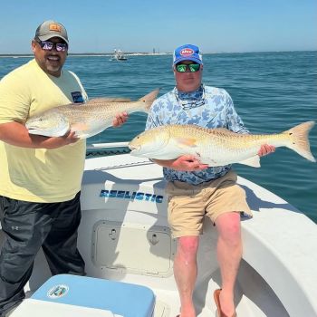 TW’s Bait & Tackle, Starting to Pick Up