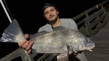 Fishing Unlimited Outer Banks Boat Rentals, Fishing has picked up!