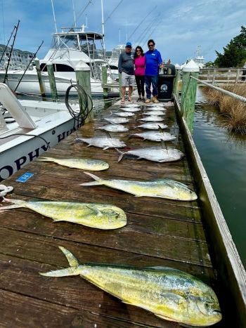 Pirate's Cove Marina, Midweek Fishin!
