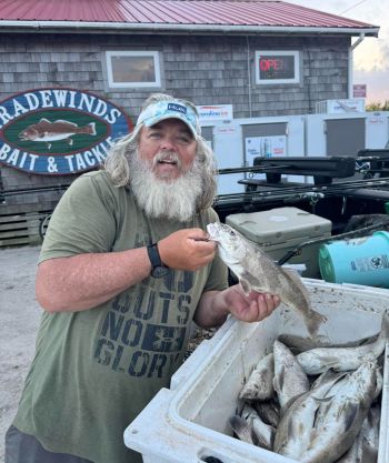 Tradewinds Tackle Shop, 39 Sea Mullet