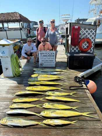 Wild Card Sportfishing Charters, That’s Gonna be Some Great Eating!