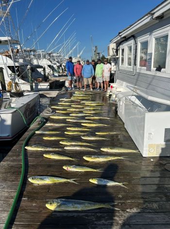 Pirate's Cove Marina, Massive Day on the Water!