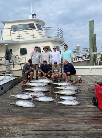Pirate's Cove Marina, Yellowfin Tuna, Mahi, Tilefish, and Sea Bass!