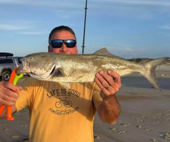 Tradewinds Tackle Shop, Blues and Drum in Ocracoke