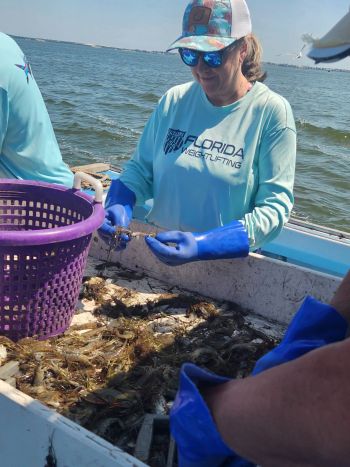 Risky Business Shrimping & Crabbing Charters, More morning fun!