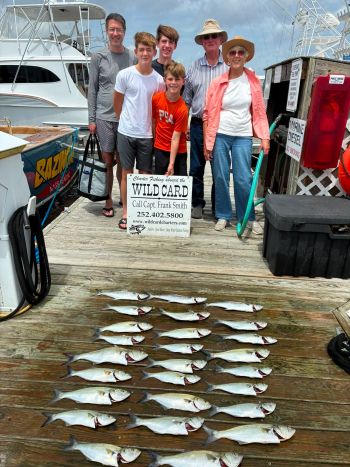 Wild Card Sportfishing Charters, Breezy/Busy Inshore Trip