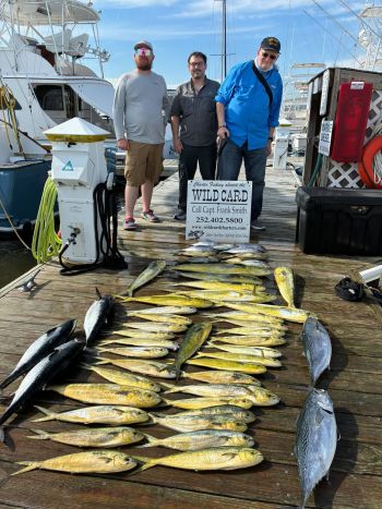 Wild Card Sportfishing Charters, Getting in the Groove