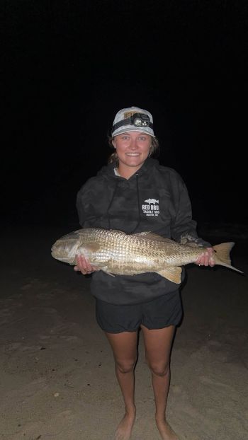 Red Drum Tackle Shop, More Big Red Drum!