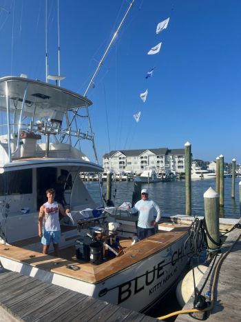 Pirate's Cove Marina, Festive Friday!