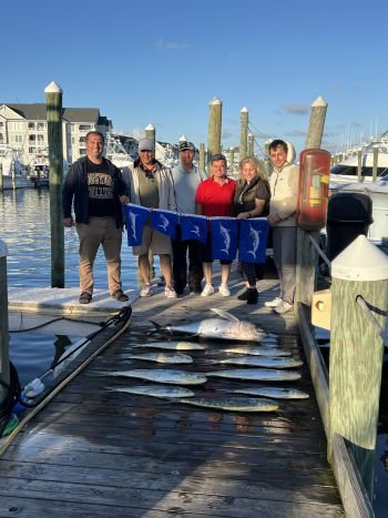 Pirate's Cove Marina, Wednesday Blues