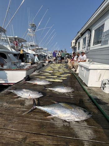 Pirate's Cove Marina, Talk About A Tuesday!