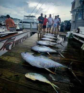 Pirate's Cove Marina, The Past Two Days!
