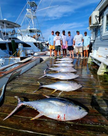 Pirate's Cove Marina, Tight Lines Tuesday!