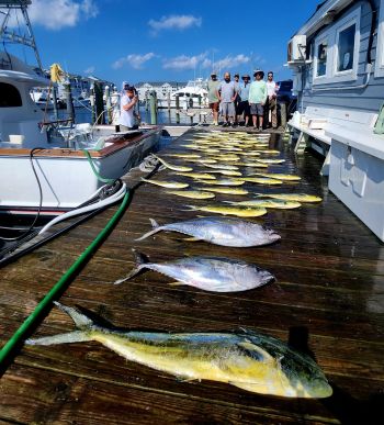 Pirate's Cove Marina, Let’s Play Catch Up!