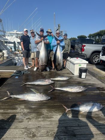 Pirate's Cove Marina, Take it to the Limit!