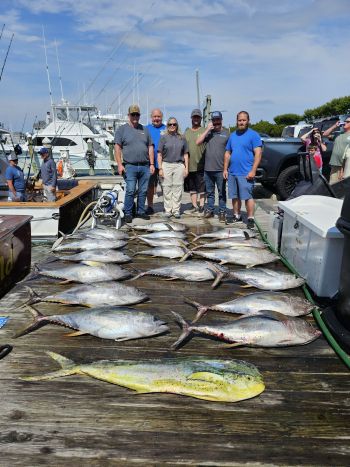 Pirate's Cove Marina, Tuna Time!